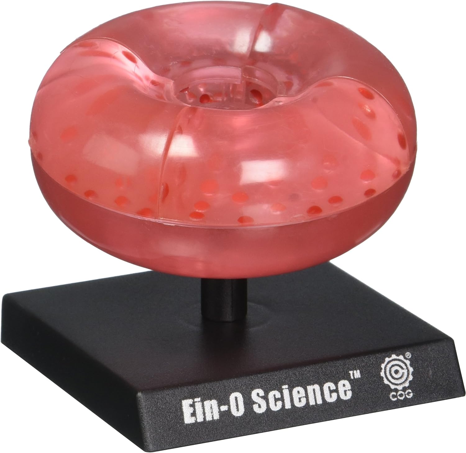 Modelo Interactivo de Glóbulo Rojo para Educación STEM | Ein-O Science