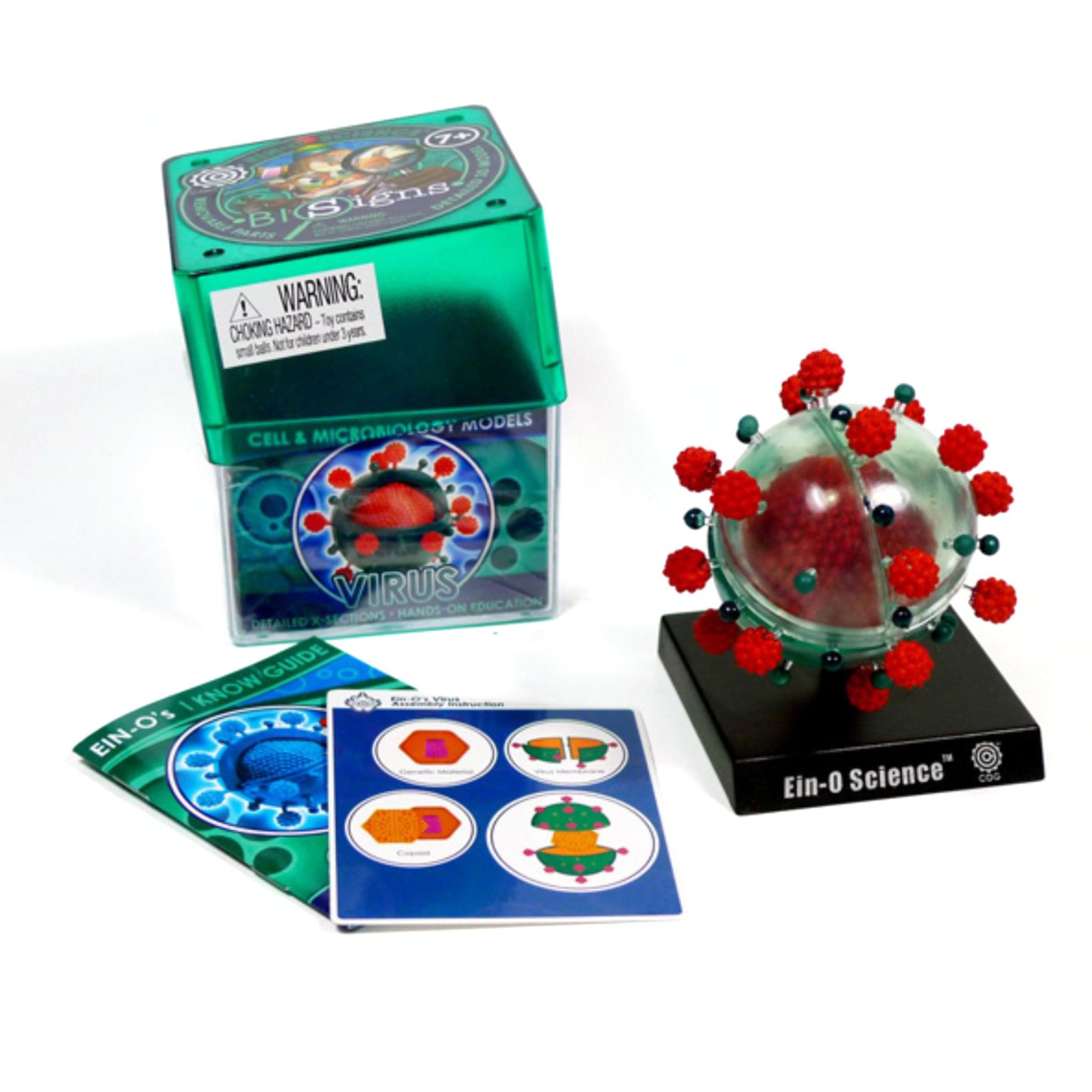 Modelo Interactivo de Virus para Educación STEM | Ein-O Science